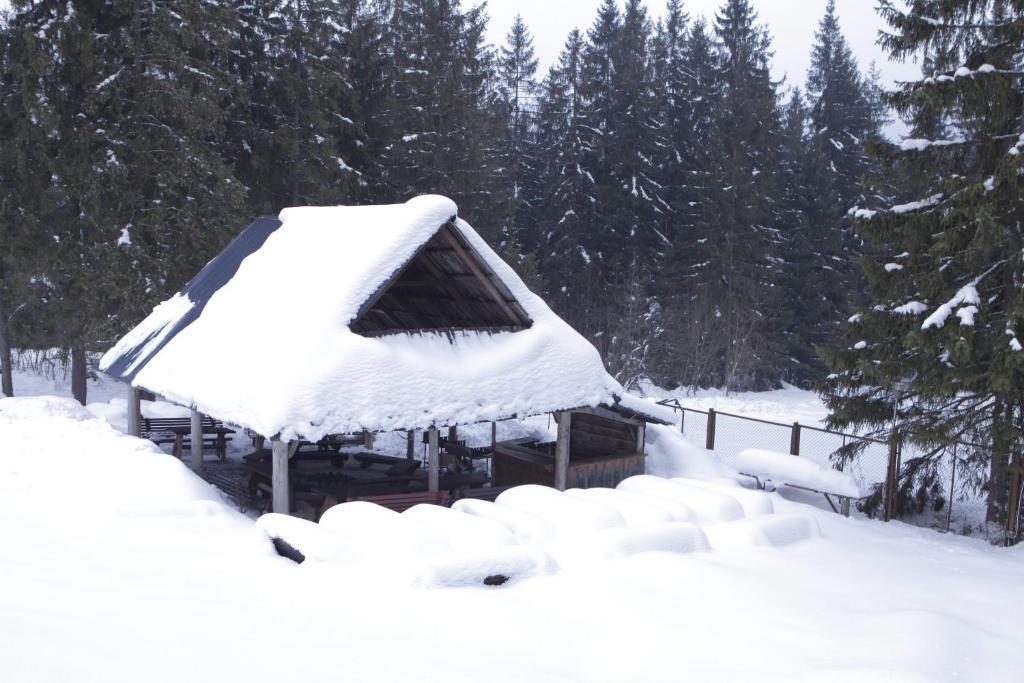 Siwarna Natura Tour Zakopane Exterior photo