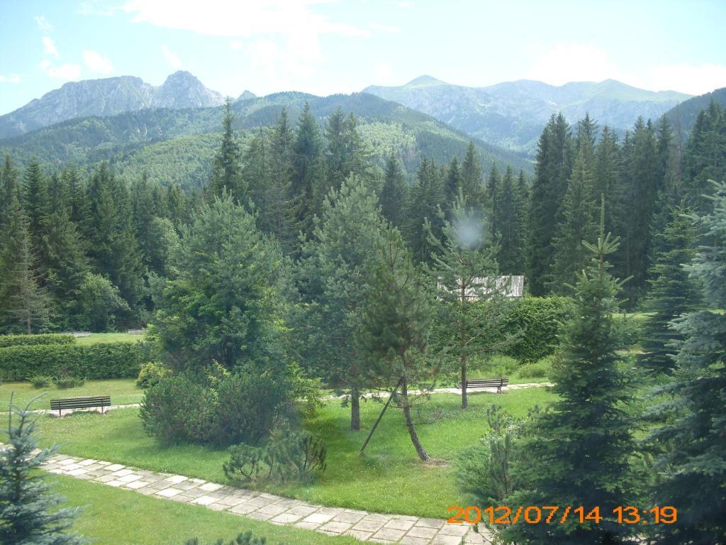 Siwarna Natura Tour Zakopane Exterior photo